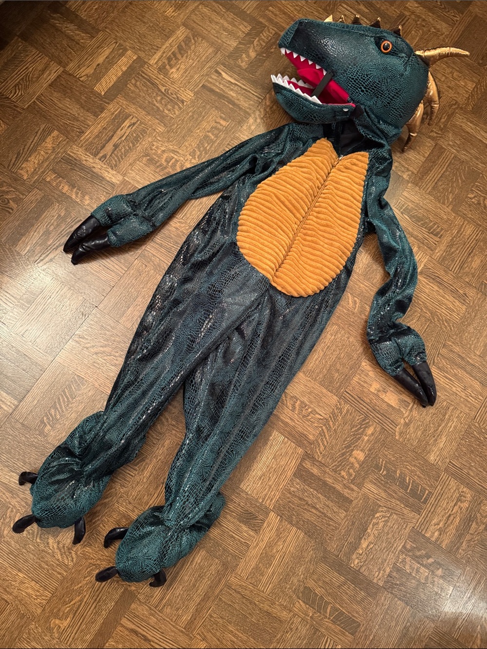 Dinosaur Kids costume size 5T